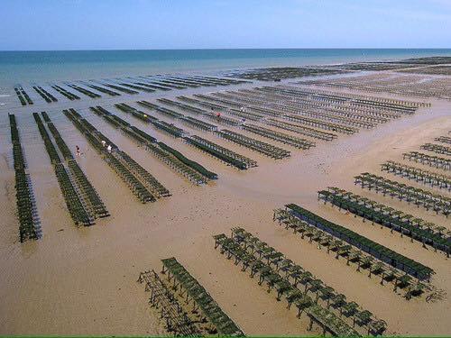 Maison Renovee En Pierres Sejour Spacieux Avec Jardin Et Terrasse Amenagee Pres Omaha Beach & Bayeux A 5Mn De La Mer Tous Commerces Commes Exteriör bild
