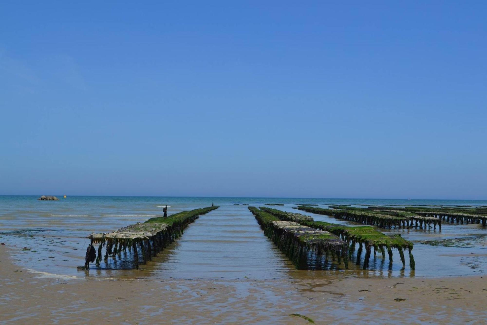 Maison Renovee En Pierres Sejour Spacieux Avec Jardin Et Terrasse Amenagee Pres Omaha Beach & Bayeux A 5Mn De La Mer Tous Commerces Commes Exteriör bild